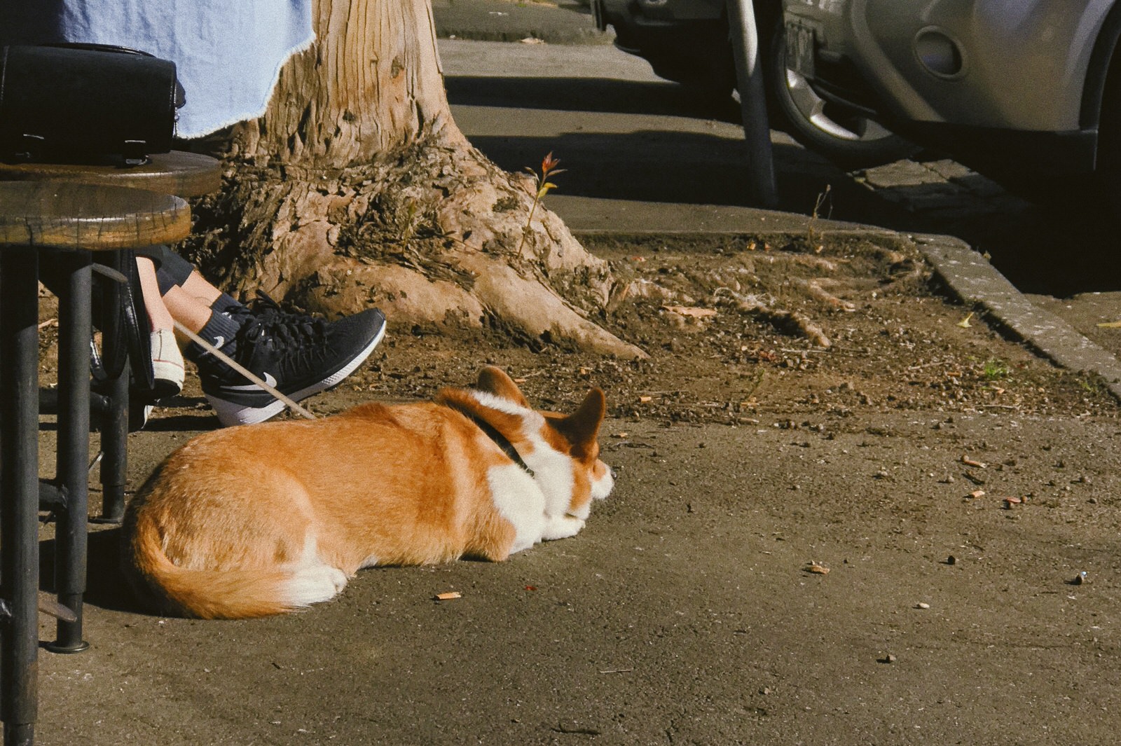 1FEB5416-7EC8-48B8-9F68-B3C1FCAB66D7_result