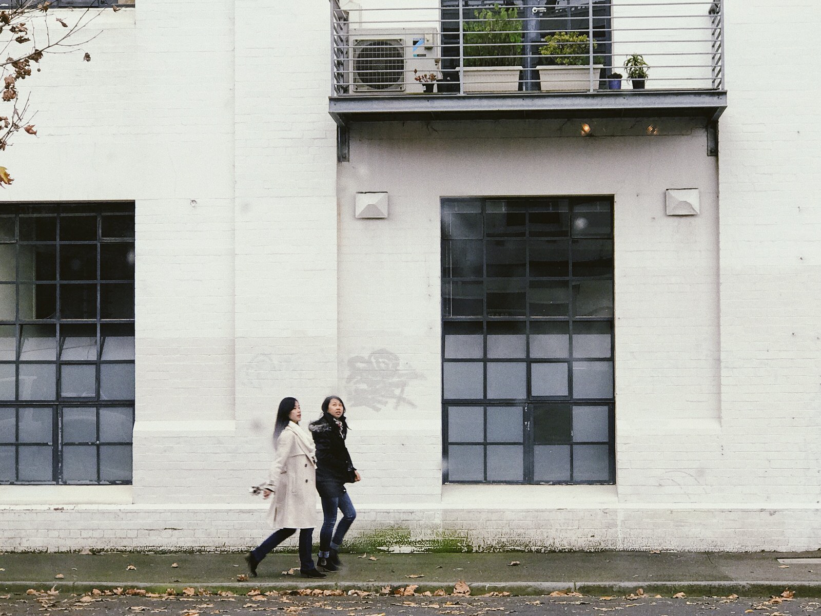 4D11C488-8833-4DC1-8B3A-6EA7F3BB44A1_result