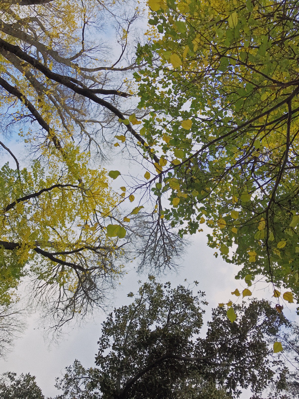 A9688224-9595-4627-92D3-52496683227E_result