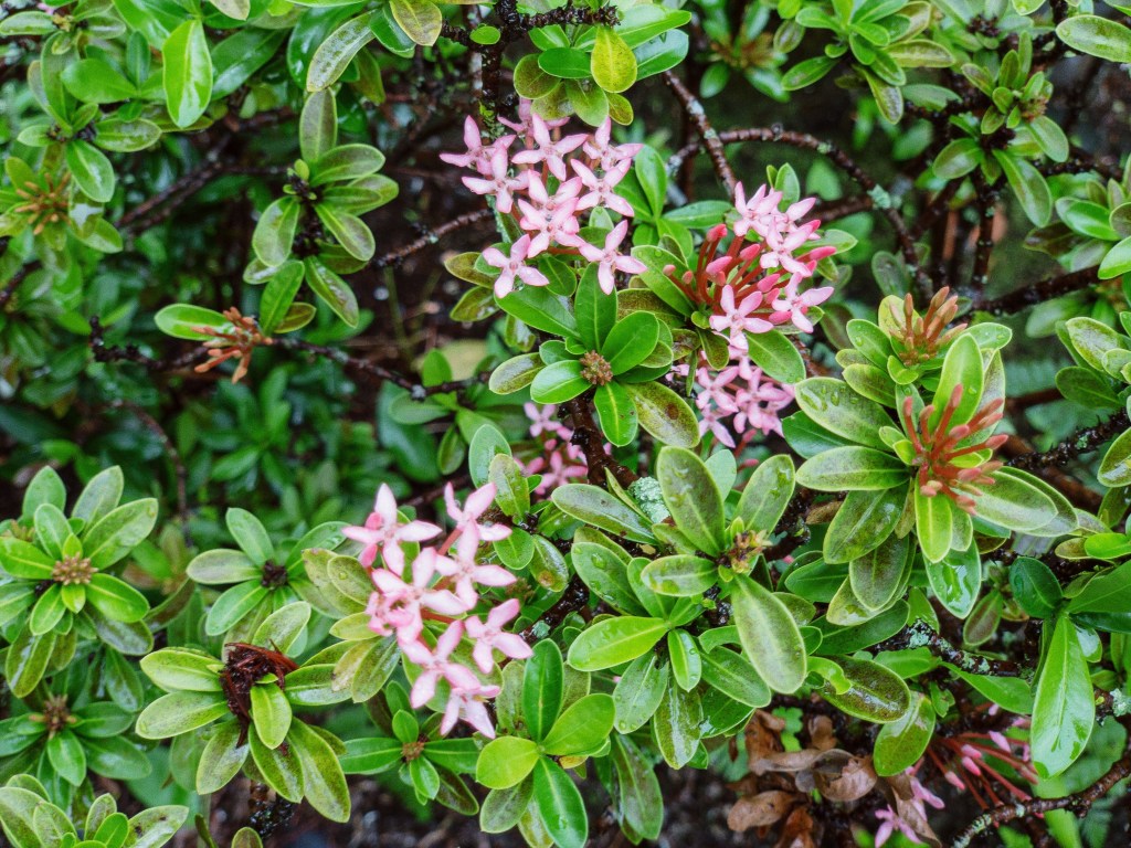 Should I really have bought a new&nbsp;camera?