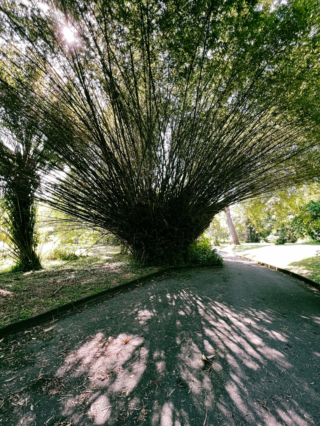 An idle year in&nbsp;review