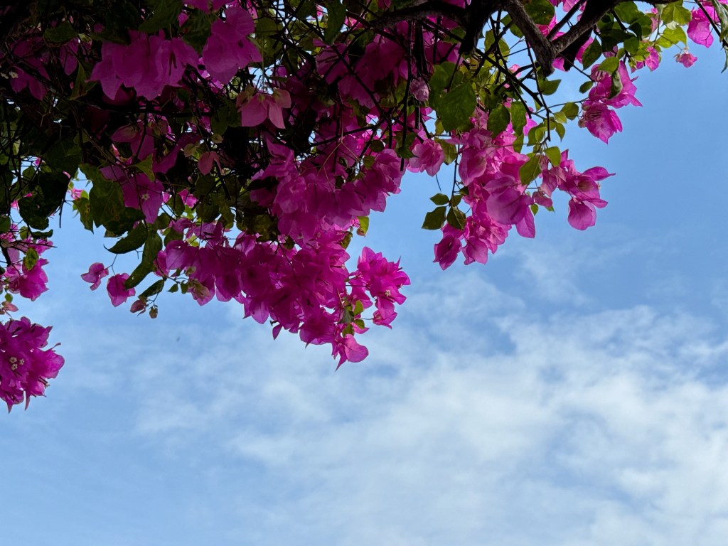 Week 1.25: BLixTape #5 playlist, travel&nbsp;planning